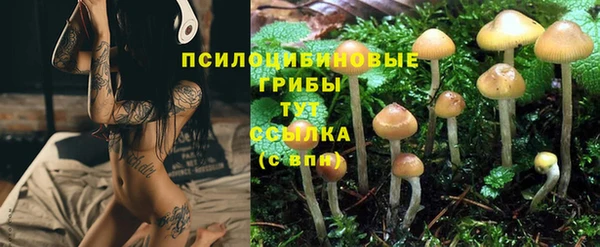 круглые Армянск