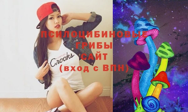 Альфа ПВП Арсеньев