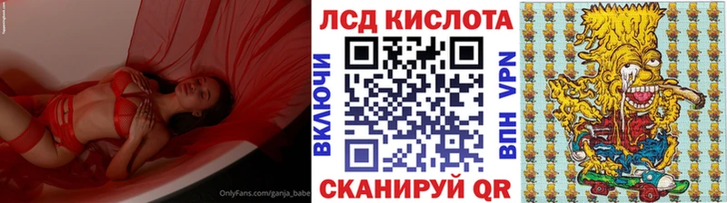 KRAKEN ONION  купить наркотик  Грязовец  Наркотические марки 1500мкг 
