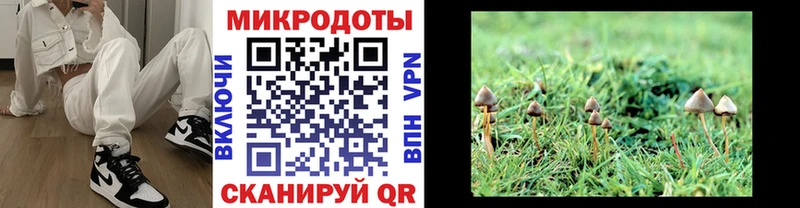 Галлюциногенные грибы Psilocybine cubensis  Грязовец 